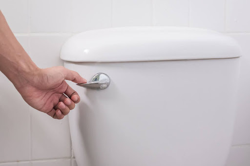 A hand pressing down on a toilet handle to flush the toilet.